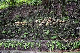 Corpses left to rot in open-air cemeteries as part of ancient Bali tradition that even coronavirus can’t stop - Похоронный портал