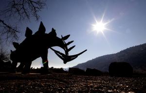 Ученые установят принадлежность 30 находок с "кладбища динозавров" в Кузбассе - Похоронный портал
