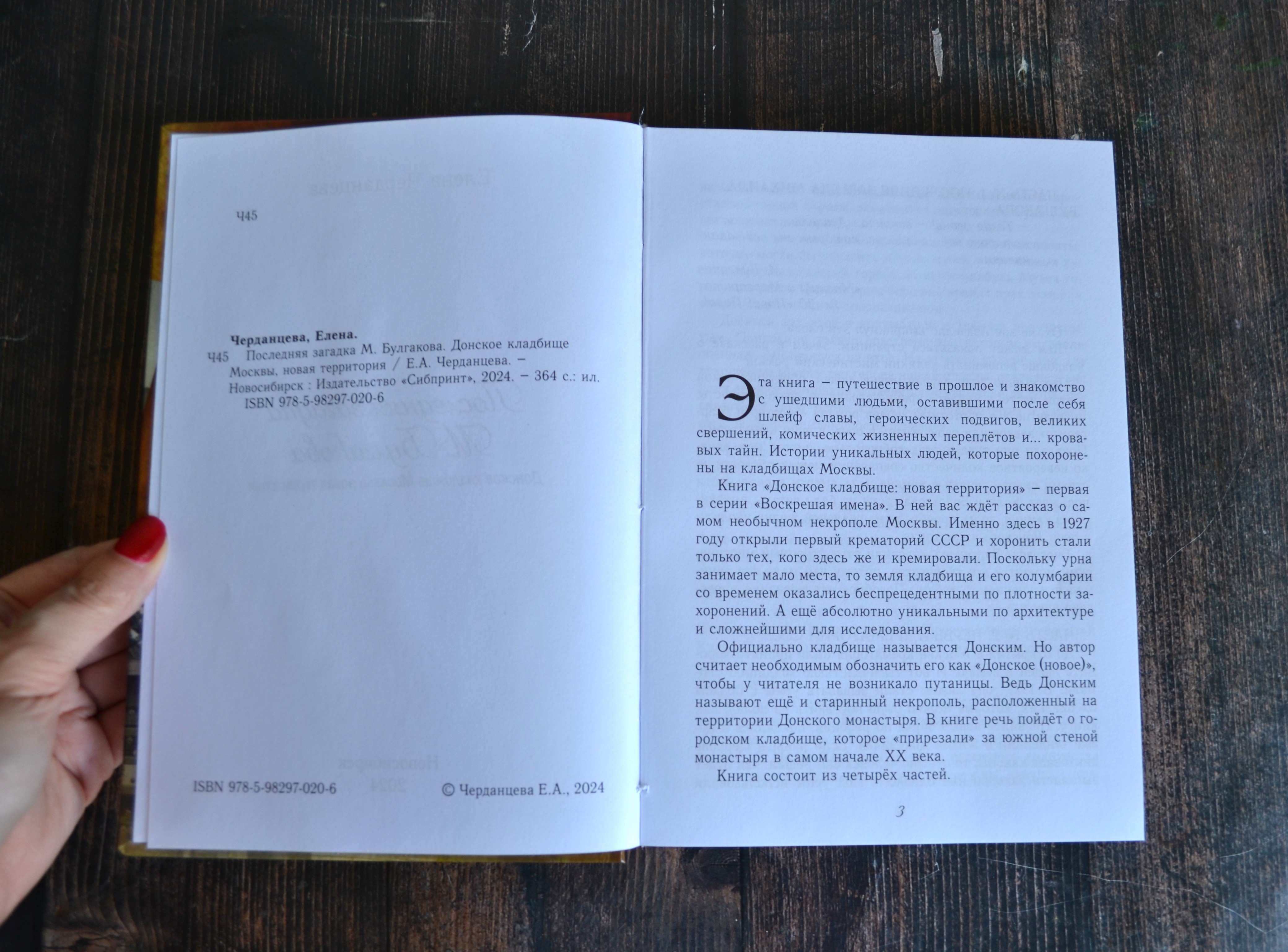 картинка Донское кладбище Москвы (по Булгакову) от магазина Одежда+