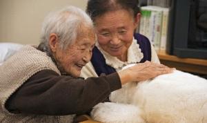 В Японии побит рекорд по количеству столетних жителей - Похоронный портал