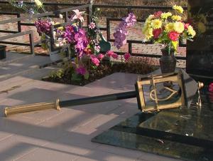 В Кировске на кладбище объявились медведи - Похоронный портал