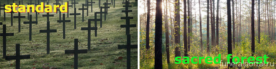 From fiction to reality: Could forests replace cemeteries?