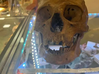В американской комиссионке нашли человеческий череп  - Похоронный портал