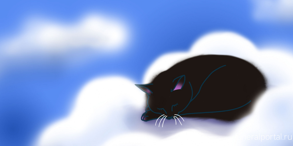 Новости компаний похоронной отрасли