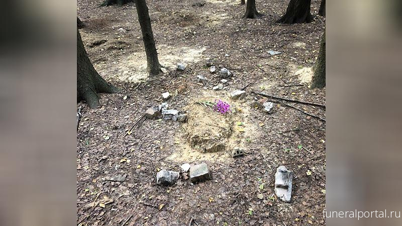 Неизвестные разнесли могилы животных в Новом Девяткино - Похоронный портал