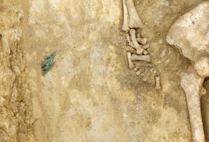 Найдена гробница женщины-воина - Похоронный портал