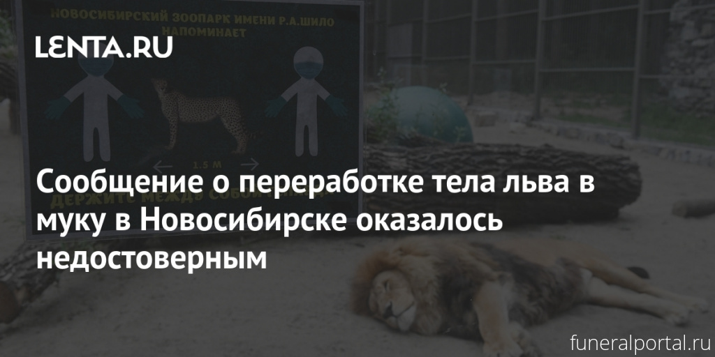 Новосибирск. Сообщение о переработке тела льва в муку оказалось недостоверным - Похоронный портал