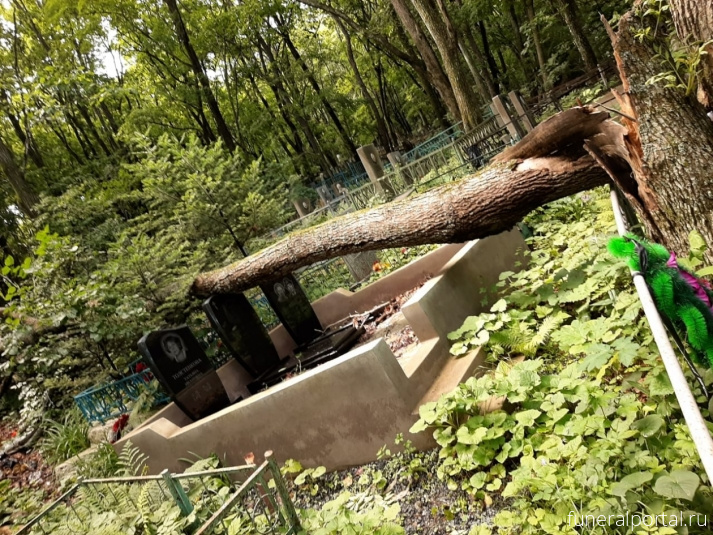 Владивосто́к. Почему так происходит? Приморские кладбища утопают в мусорных завалах - Похоронный портал