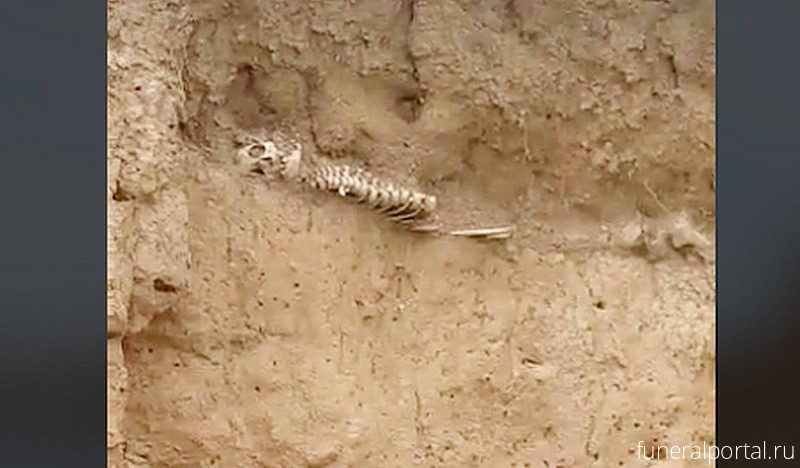 Новости компаний похоронной отрасли