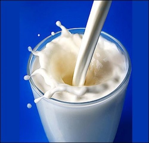 Ученые доказали смертельную опасность молока - Похоронный портал