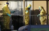 Не менее 65 человек скончались в Бразилии от желтой лихорадки - Похоронный портал