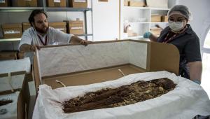 Ученые расшифровали ДНК древнейших мумий на Земле - Похоронный портал