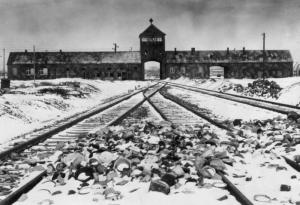 11 апреля отмечается Международный день освобождения узников фашистских концлагерей - Похоронный портал