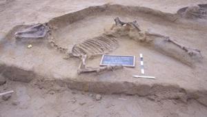 В Афинах археологи обнаружили очень редкое конное захоронение - Похоронный портал