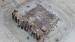 В Актобе обнаружены останки воинов сарматского периода с полным вооружением - Похоронный портал
