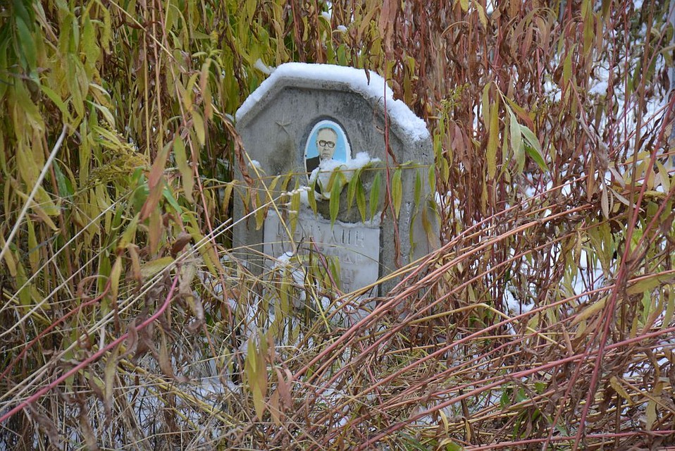 «Не памятники, а партизаны в кустах»: могилы новосибирских фронтовиков заросли травой - Похоронный портал