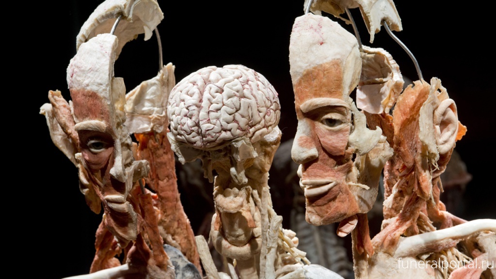 «Пластинариум» — музей законсервированных тел