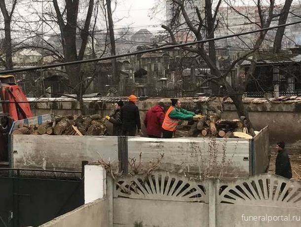 Молдова. На еврейском кладбище в Кишиневе полностью вырубили деревья - Похоронный портал