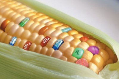Американцы убеждают людей, что ГМО безвредны