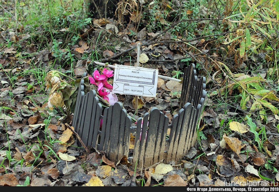 Сыктывкар. «Питомцам ставят мемориалы и скульптуры». В Печоре обнаружили кладбище домашних животных - Похоронный портал