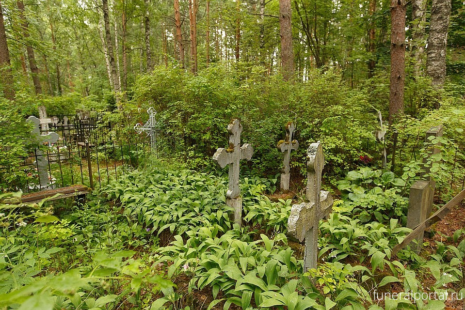 Нижний Новгород. «Там был свежий холмик»: Нижегородка нашла на могиле брата закопанный эмбрион - Похоронный портал