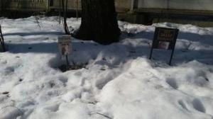 В Новомосковске люди превратили лес в кладбище домашних животных - Похоронный портал
