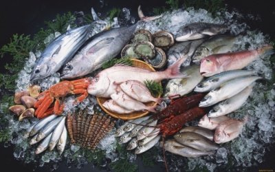 Ученые: есть рыбу и морепродукты опасно для здоровья