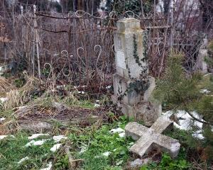 В Краснодаре приостановят реконструкцию Всесвятского кладбища - Похоронный портал