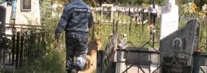 В Пинском районе раскрыта преступная группа, которая похищала с кладбищ надгробные плиты - Похоронный портал