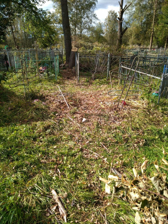 В Тверской области благоустройство кладбища превратилось в вандализм: повалены кресты, разрушены надгробия - Похоронный портал