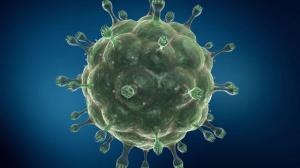 Ученые научились удалять ВИЧ-1 из ДНК - Похоронный портал