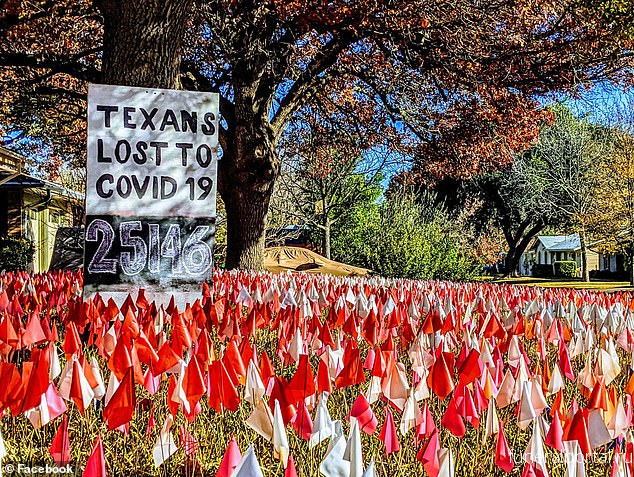 'These are real people who died': Austin artist plants more than 25,000 flags in his yard to remind maskless neighbors of each COVID-19 death in Texas