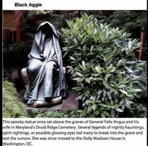 Черная Агги: Ужасный страж кладбища Друид-Ридж