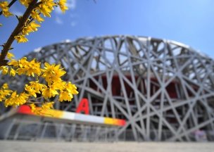 «Зона отчуждения»: как умирают стадионы после Олимпийских игр. 