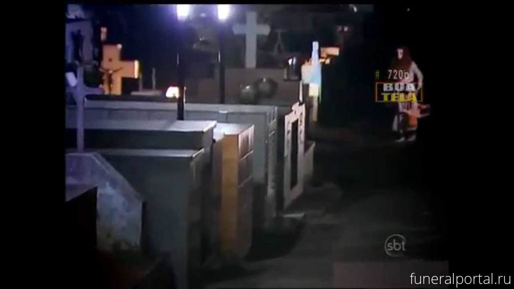 Пензячка назвала варварством вырубку зеленой изгороди на кладбище - Похоронный портал