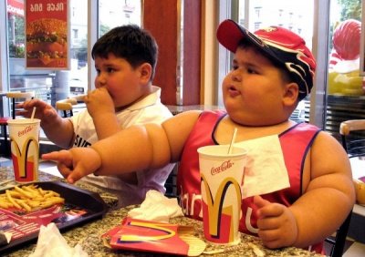 Почему западная диета заканчивается ожирением