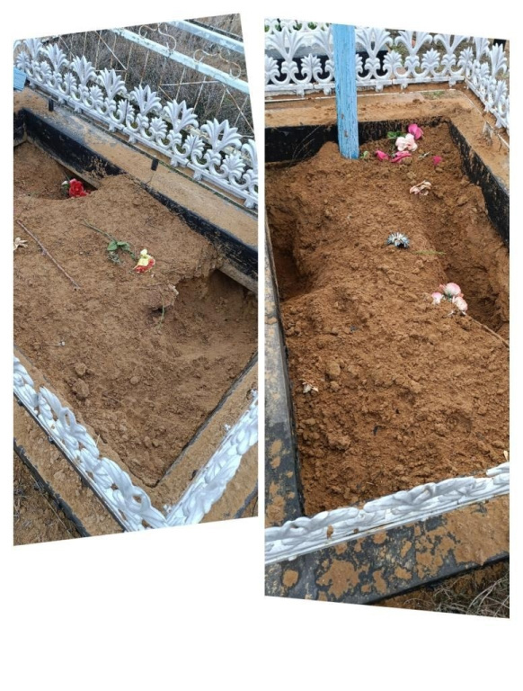 Под Астраханью собаки разрыли могилу на кладбище - Похоронный портал