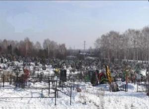 В Рыбинске Ярославской области появится новое кладбище - Похоронный портал