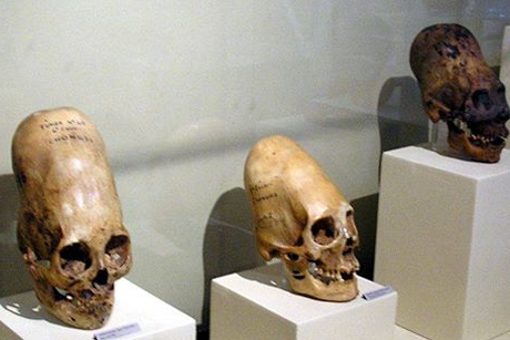 Три новых удлиненных черепа обнаружили в Антарктиде - Похоронный портал