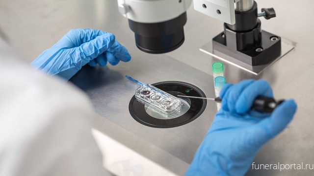 В Чехии суд не разрешил женщине забеременеть от умершего мужа - Похоронный портал