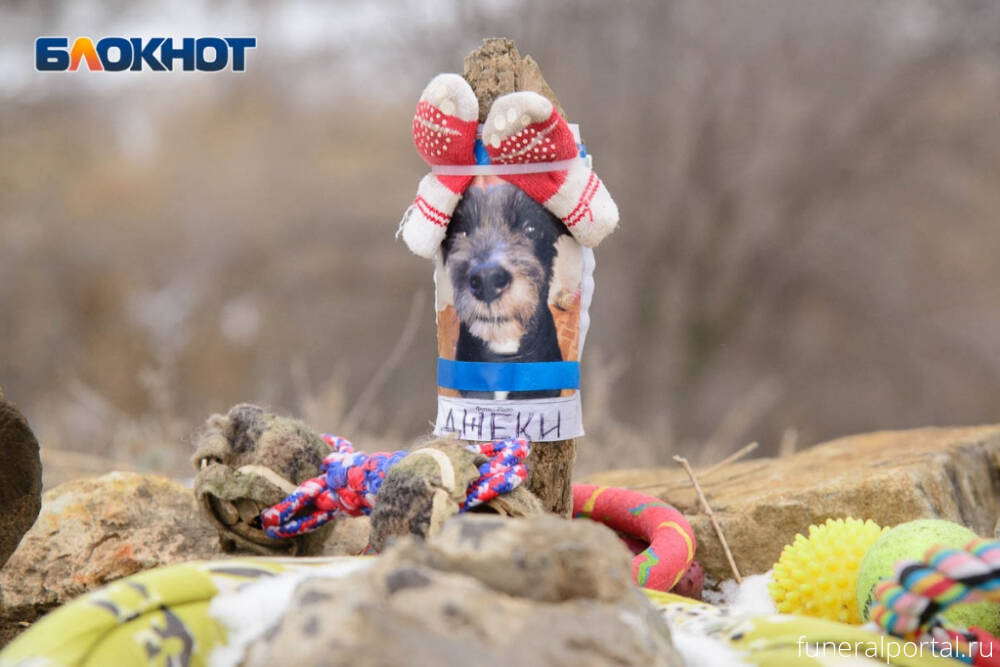 Краснодар. Большие деньги или лесополоса: как в Краснодаре хоронят домашних животных - Похоронный портал