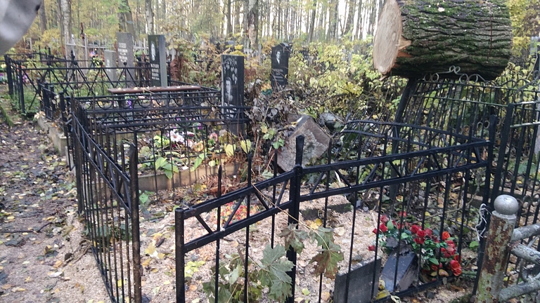 На Серафимовском кладбище спиленные деревья обрушились на надгробия - Похоронный портал