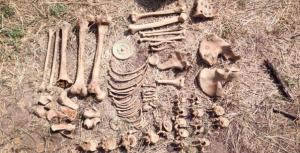 Дачники в Бурятии нашли средневековую могилу с редчайшим артефактом - Похоронный портал
