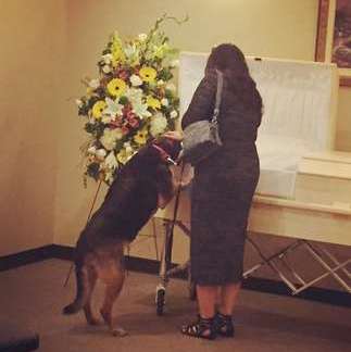 Фото дня: собака прощается со своим умершим хозяином - Похоронный портал