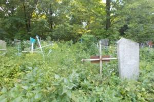 Из-за частых дождей ростовские кладбища заросли двухметровой травой - Похоронный портал