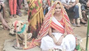 Индийская девушка Мунде вышла замуж за собаку - Похоронный портал