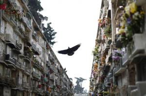 Выселяя мертвых ("Reuters", Великобритания) - Похоронный портал