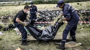 Опознаны 173 жертвы крушения Boeing в Украине - Похоронный портал