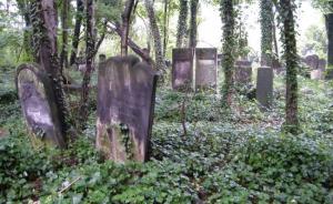 В Польше со дна реки извлекли сто еврейских надгробий - Похоронный портал