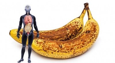 Спелые бананы содержат ФНО-альфа, который блокирует рост опухолевых клеток